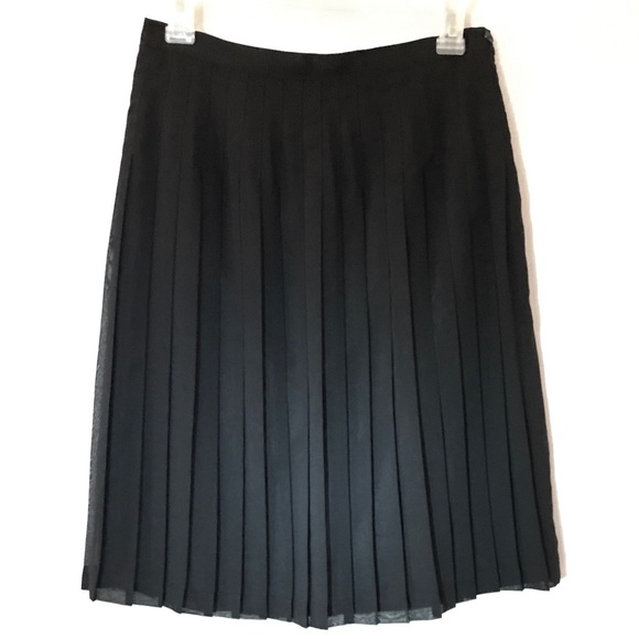 Pleated Sheer Skirt - Picture 2 of 4